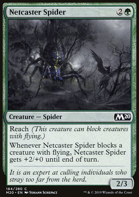 Netcaster Spider